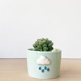 Spring Theme Ceramic Succulent Pots