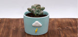 Set of 4 April Showers Theme Ceramic Pots