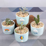 Spring Theme Ceramic Succulent Pots