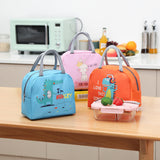 Dino Kids Lunch Bags