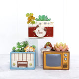 Set Of Three Retro Theme Succulent Pot