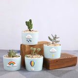 Spring Theme Ceramic Succulent Pots