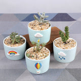 Set of 4 April Showers Theme Ceramic Pots