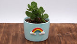 Set of 4 April Showers Theme Ceramic Pots