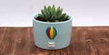 Spring Theme Ceramic Succulent Pots