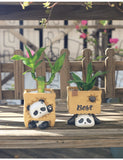 Mood Panda Succulent Planter