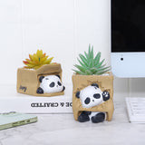 Mood Panda Succulent Planter